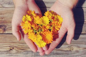 baby eczema, infant eczema, toddler eczema, natural skin care, calendula soap